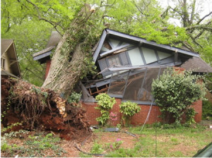 Storm damage 