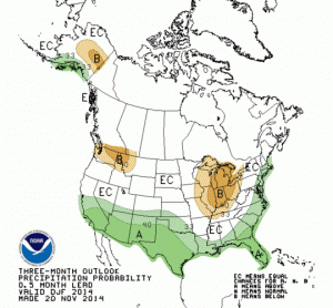 DJF Precip