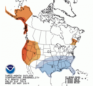 DJF Temperature Forecast