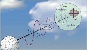 Dual polarization radar with targets