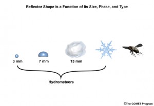 Meteorological target (hydrometeors) and non-meteorological targets (like birds and insects) all reflect radar energy. How much energy is reflected depends on the material,shape, and size of the target.